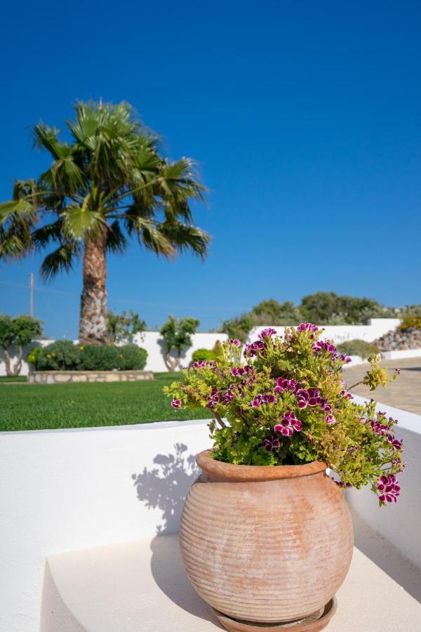 Georgia'S Apartments Kouremenos Beach Anevato Exteriér fotografie